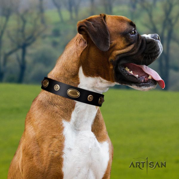 Boxer full grain natural leather collar with adornments
