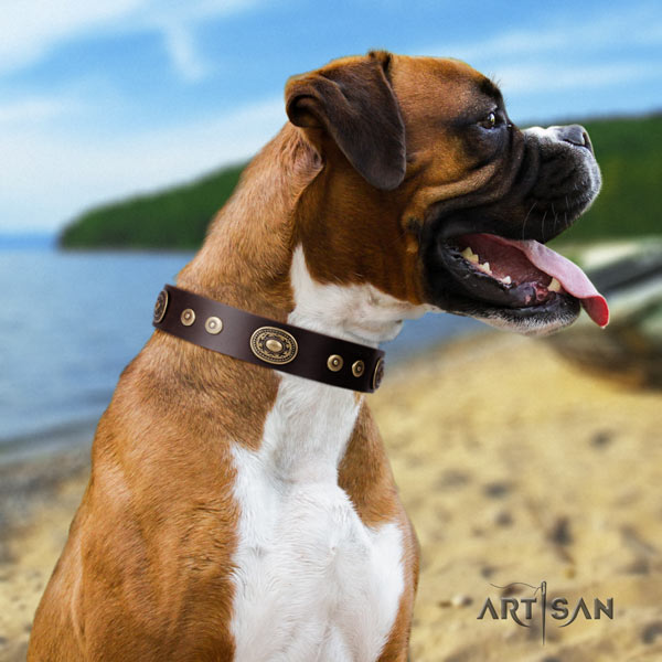 Boxer leather collar with corrosion proof fittings