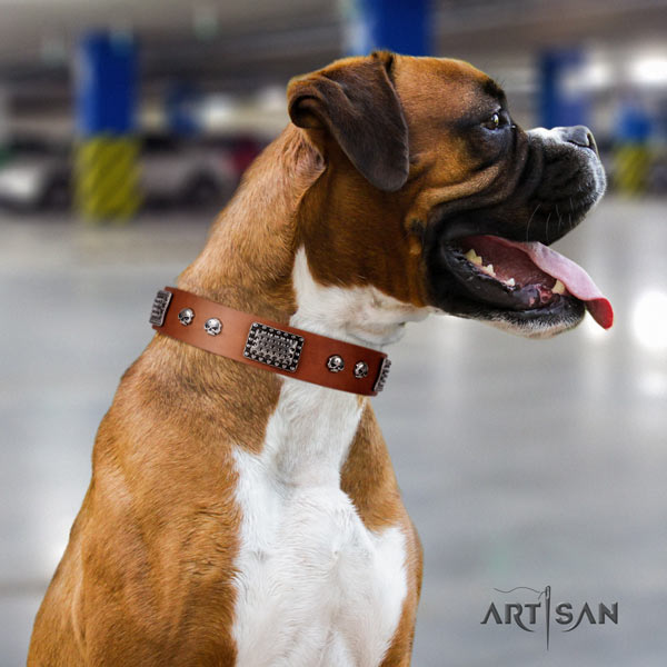 Boxer full grain leather collar with corrosion resistant decorations