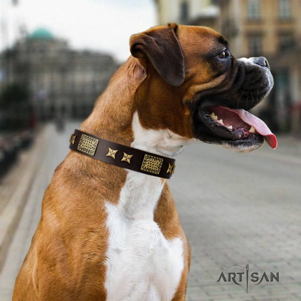 Boxer full grain leather collar with strong buckle