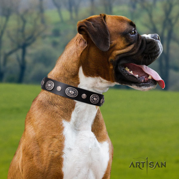 Boxer leather collar with corrosion proof hardware