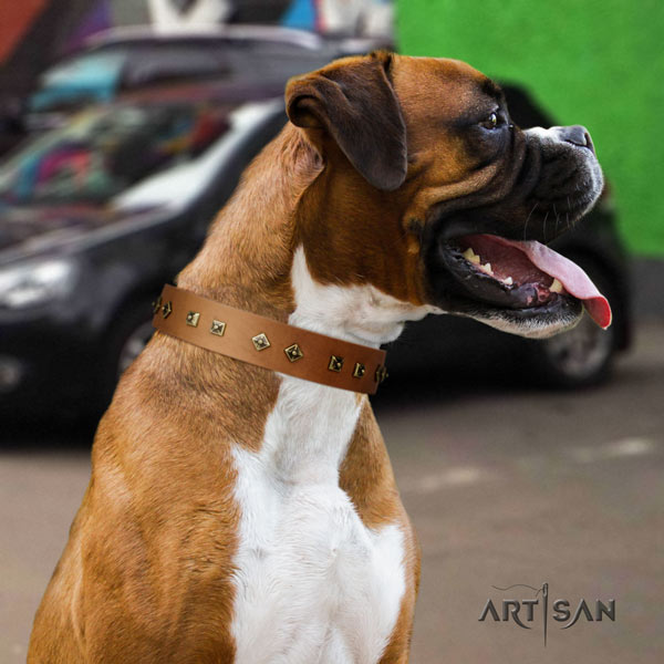 Boxer full grain genuine leather collar with corrosion proof decorations