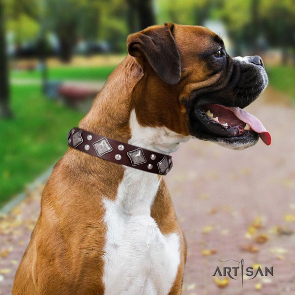 Boxer leather collar with rust-proof buckle
