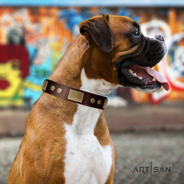 Boxer full grain genuine leather collar with rust-proof decorations