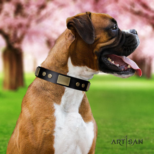 Boxer natural genuine leather collar with rust-proof embellishments