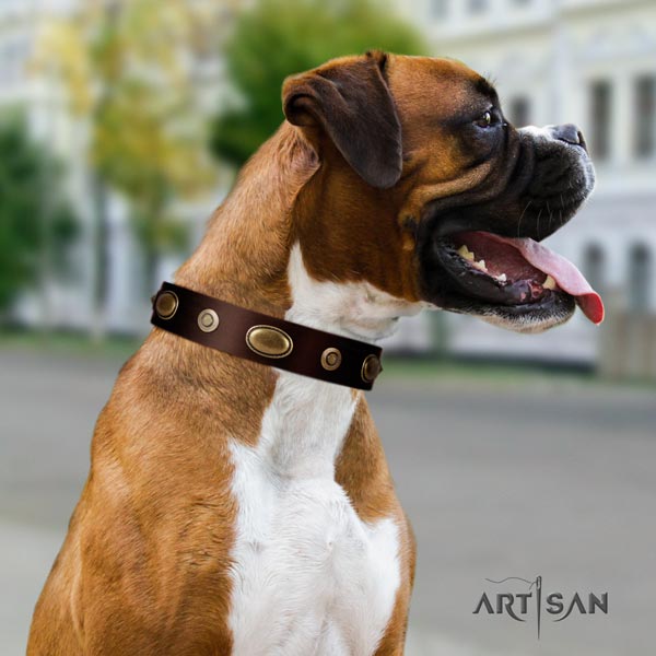 Boxer full grain genuine leather collar with decorations