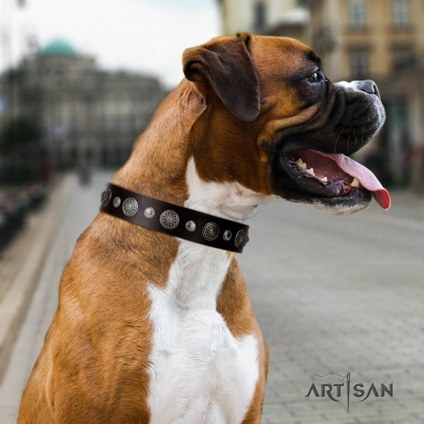 Boxer full grain leather collar with adornments