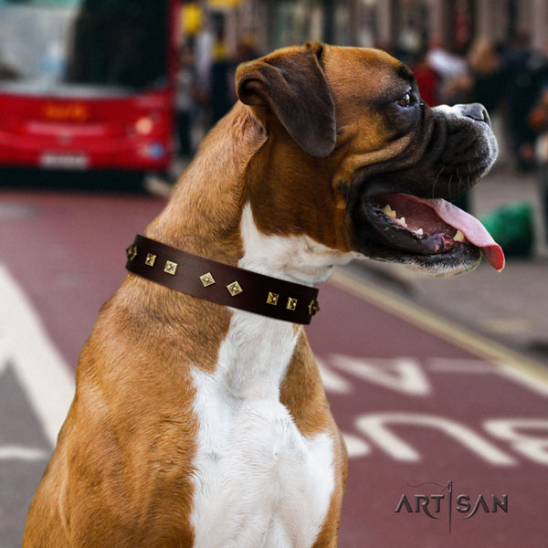 Boxer full grain natural leather collar with corrosion resistant adornments