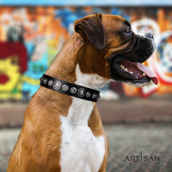Boxer natural genuine leather collar with rust-proof fittings