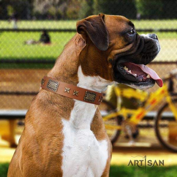 Boxer full grain leather collar with durable buckle