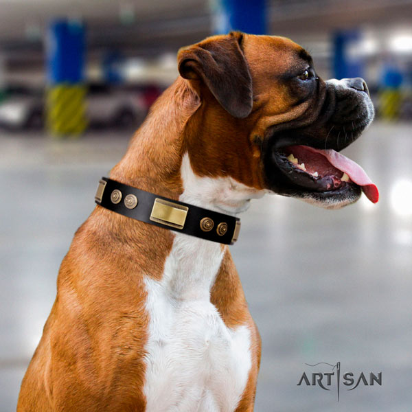 Boxer natural genuine leather collar with corrosion resistant decorations