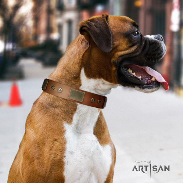 Boxer full grain natural leather collar with rust resistant adornments