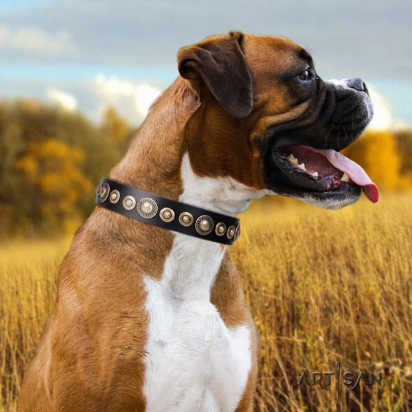 Boxer leather collar with durable buckle