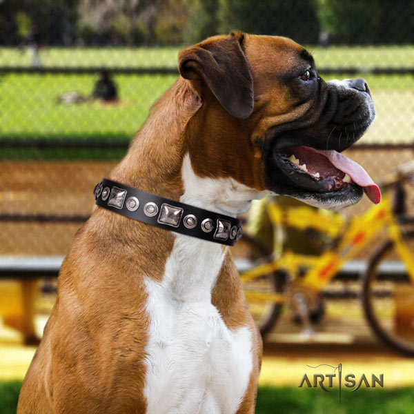 Boxer natural genuine leather collar with strong fittings