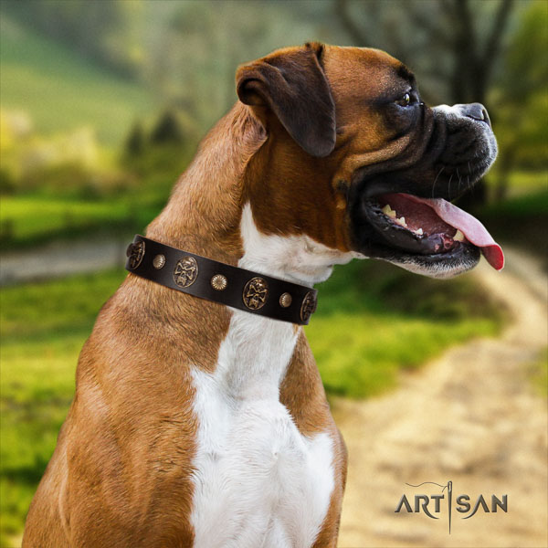 Boxer full grain leather collar with corrosion proof D-ring for daily walking