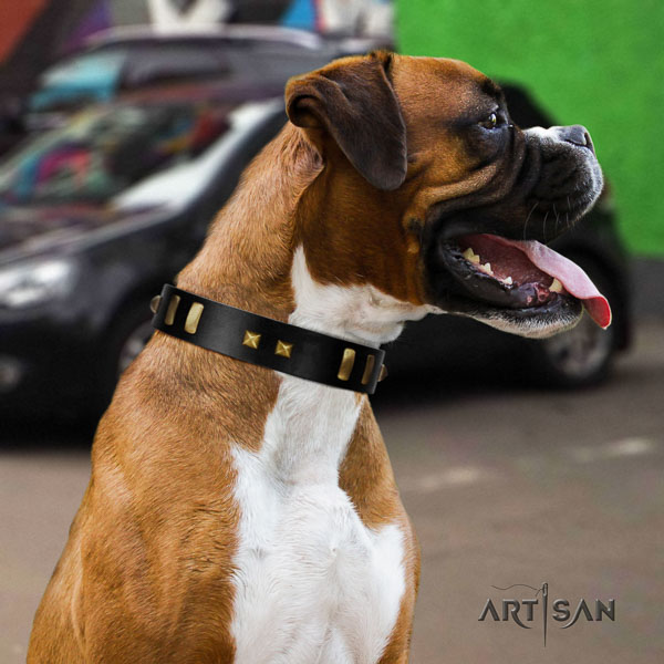 Boxer genuine leather collar with strong fittings for comfy wearing
