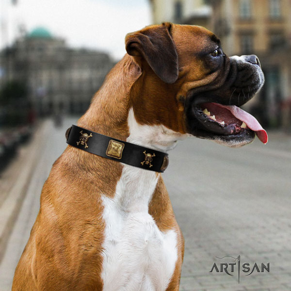 Boxer natural genuine leather collar with rust resistant traditional buckle for daily use