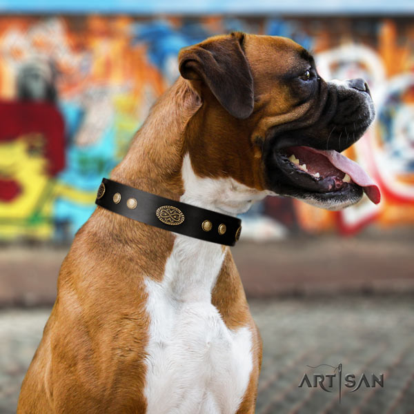 Boxer embellished genuine leather collar with rust-proof D-ring