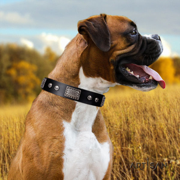 Boxer full grain natural leather collar with rust resistant studs