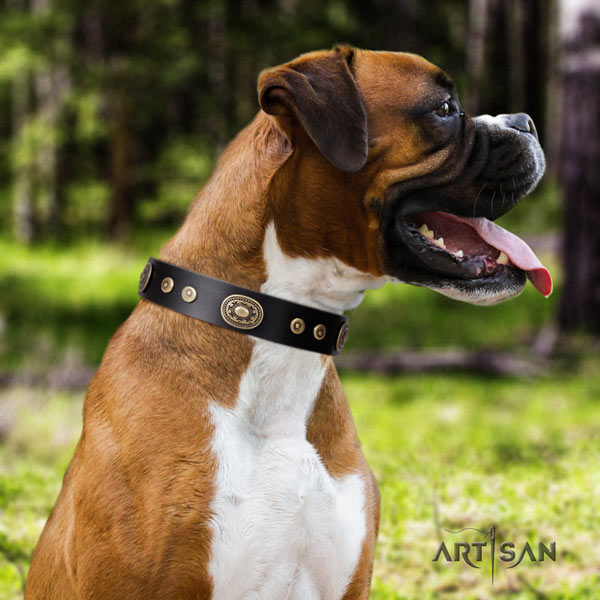 Boxer genuine leather collar with corrosion proof hardware