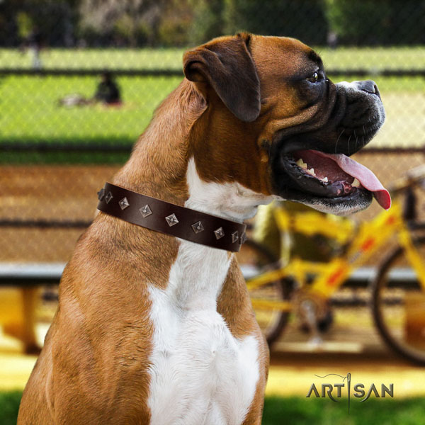 Boxer handmade natural genuine leather dog collar with embellishments