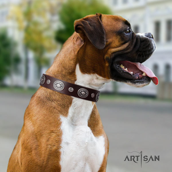 Boxer leather collar with corrosion resistant buckle