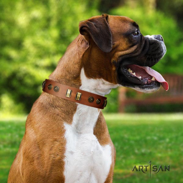 Boxer collar with adornments