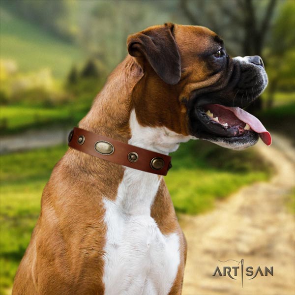 Boxer genuine leather collar with adornments