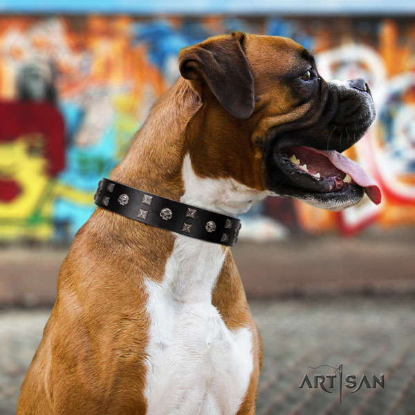 Boxer adorned full grain natural leather dog collar with decorations