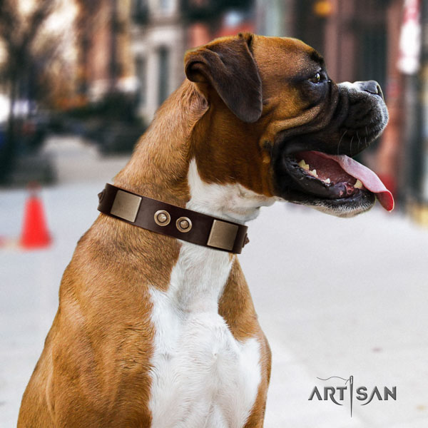 Boxer leather collar with corrosion proof traditional buckle for easy wearing