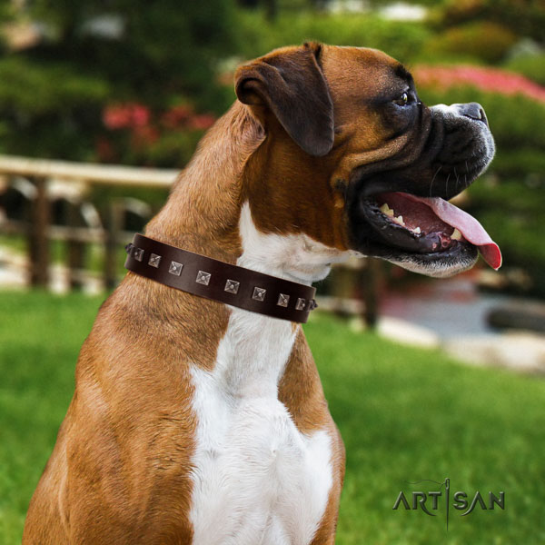 Boxer handcrafted full grain natural leather dog collar with adornments
