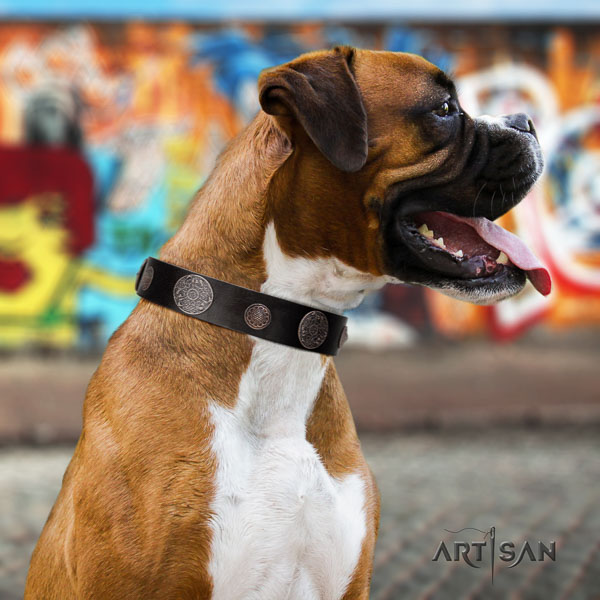 Boxer leather dog collar for stylish walking