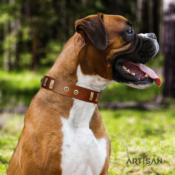 Boxer genuine leather dog collar for daily walking