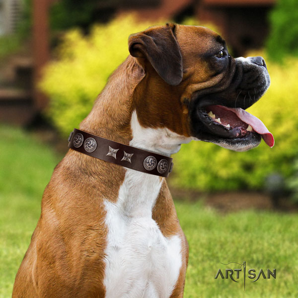 Boxer stylish full grain natural leather dog collar with studs