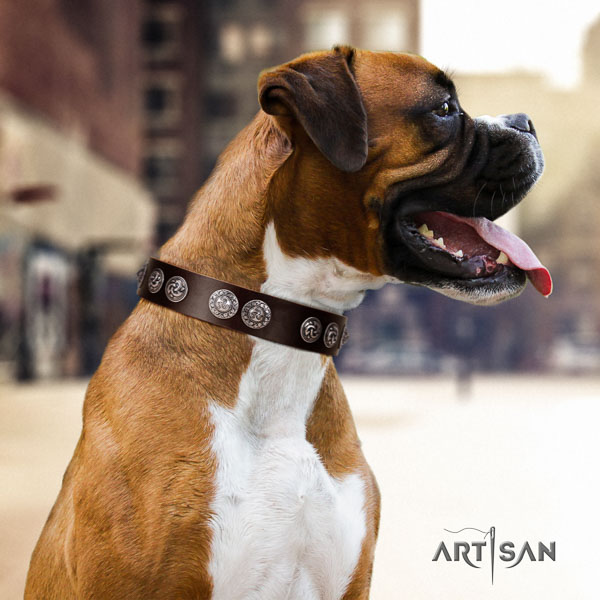 Boxer full grain natural leather dog collar for daily use