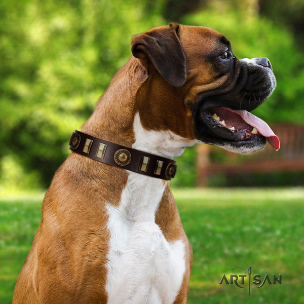 Boxer genuine leather collar with corrosion resistant fittings for walking
