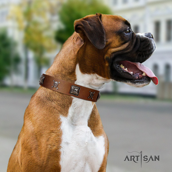 Boxer leather dog collar for fancy walking