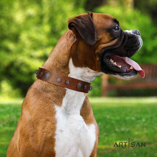 Boxer full grain natural leather dog collar for everyday use