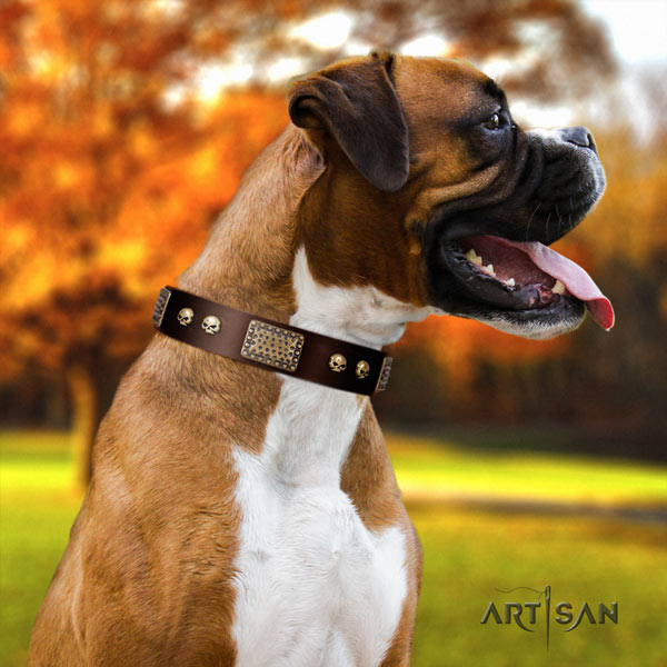 Boxer studded leather collar with corrosion proof fittings