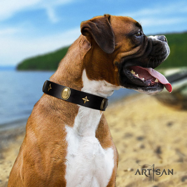 Boxer full grain natural leather dog collar for walking