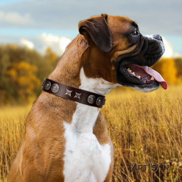 Boxer comfortable full grain leather dog collar with embellishments