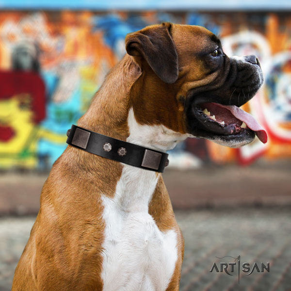 Boxer unusual natural genuine leather dog collar with embellishments
