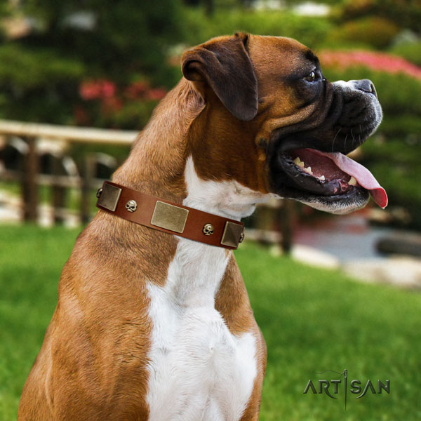 Boxer full grain natural leather collar with corrosion resistant fittings for basic training