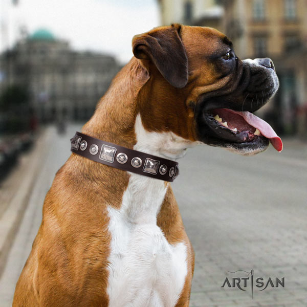 Boxer natural genuine leather collar with corrosion proof traditional buckle