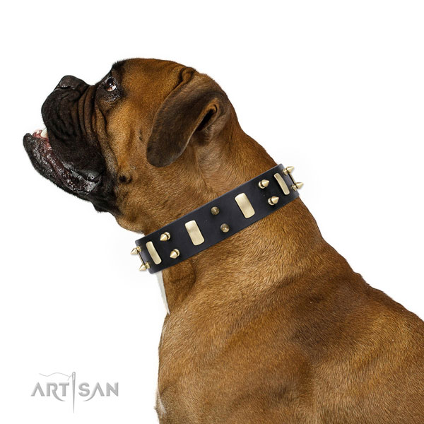 Boxer handmade full grain leather dog collar for handy use