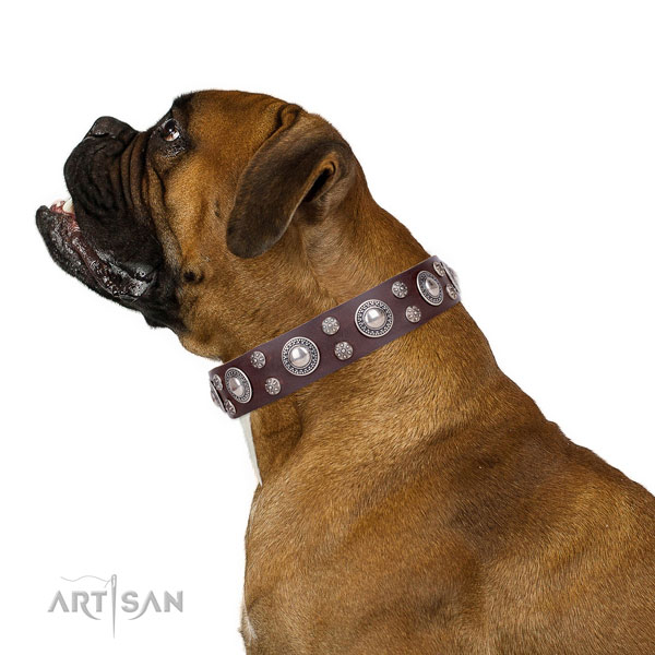 Boxer perfect fit natural genuine leather dog collar for walking
