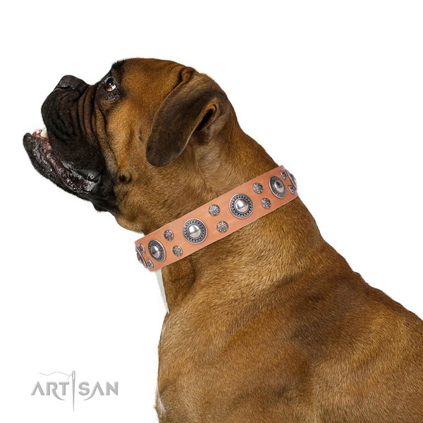 Boxer top notch leather dog collar for everyday walking