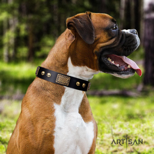 Boxer embellished genuine leather collar with rust-proof hardware