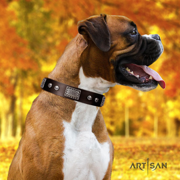 Boxer genuine leather collar with rust resistant decorations