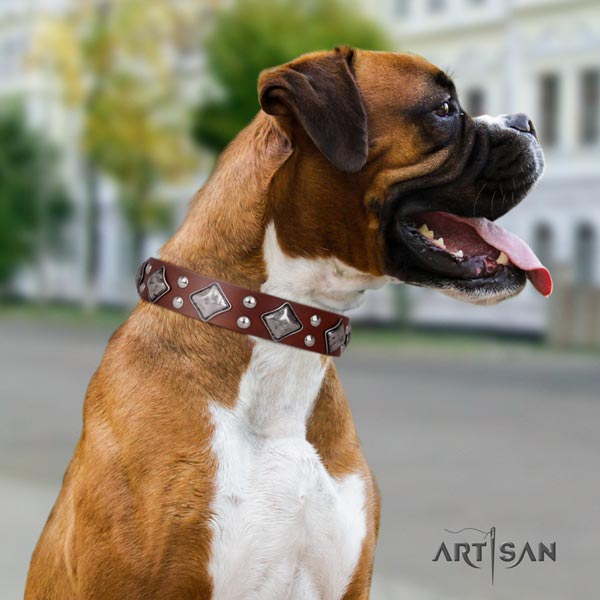 Boxer full grain leather collar with corrosion resistant fittings